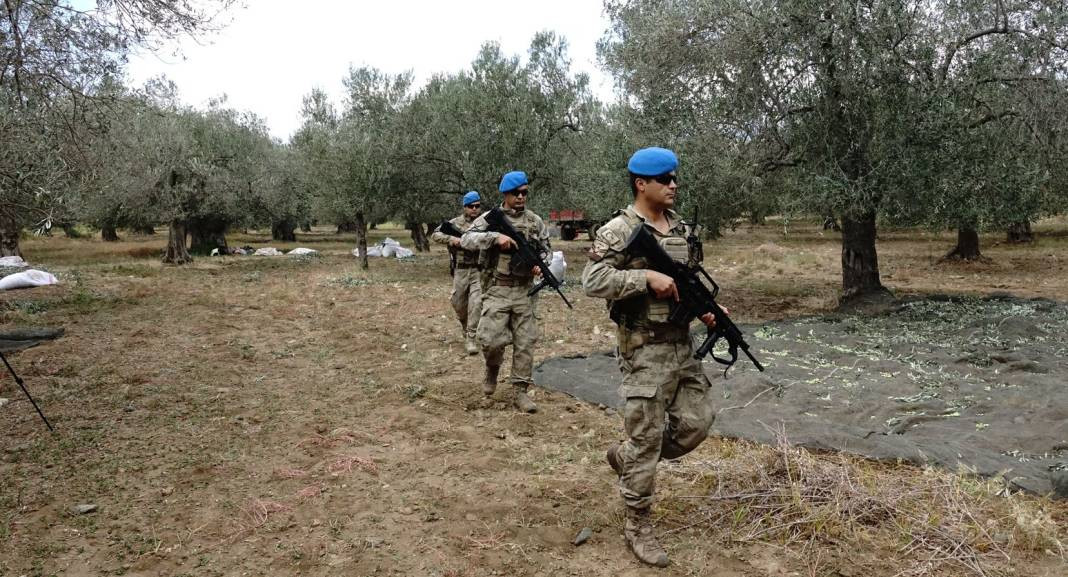 Jandarmadan gece gündüz zeytin nöbeti. Havadan karadan denetliyorlar - Resim: 7